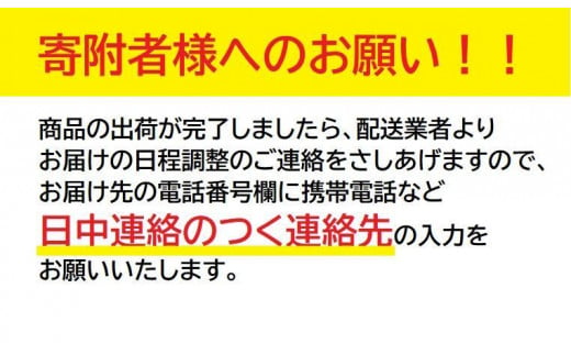 ヱビス自転車　 子供乗せ自転車 セデオ263 シマノ製内装3段変速 OGK製後子供乗せ付 電動なし RBC-017DX ZERO PLUS【マットカーキ】