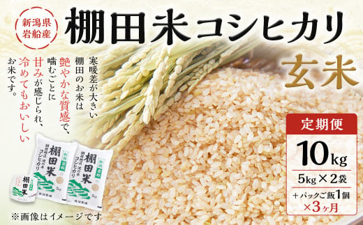 【定期便：3ヶ月連続でお届け】【令和6年産米】新潟県岩船産 棚田米コシヒカリ 玄米10kg ＋ 棚田米コシヒカリのパックごはん(150g×1個)×3ヶ月 1067038