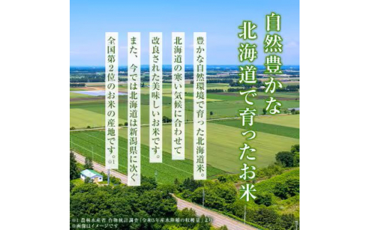 ＜2ヵ月毎定期便＞北海道産 ななつぼし 白米 10kg(5kg×2袋) 全3回【4014208】