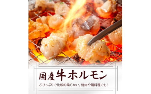 鹿児島県産国産牛もつセット7人前 A3-114【1166338】