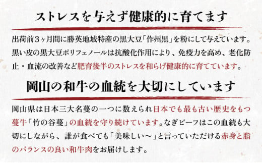 合計8.5kg！【なぎビーフ】 ロース ステーキ用ブロック約5kg 肩ローススライス約2kg モモバラ焼肉約1.5kg