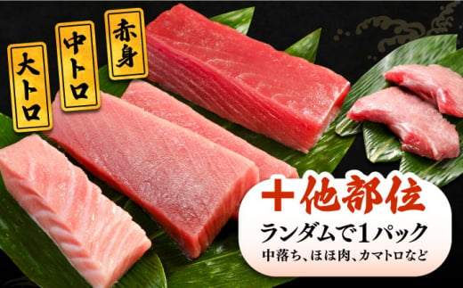 対馬産 生 本マグロ 500g （赤身、中トロ、大トロ）《対馬市》【対海】 中トロ 大トロ まぐろ マグロ 鮪 [WAH025]