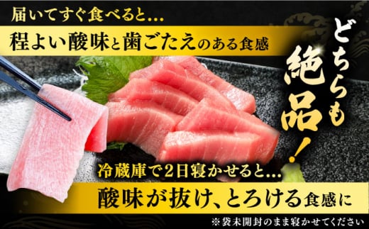 対馬産 生 本マグロ 500g （赤身、中トロ、大トロ）《対馬市》【対海】 中トロ 大トロ まぐろ マグロ 鮪 [WAH025]