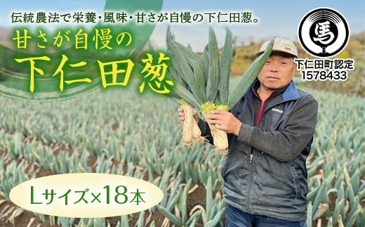 甘さが自慢の下仁田葱（Lサイズ 18本） とろける 甘い ねぎ ネギ 王様ねぎ 殿様ねぎ 特産 栄養たっぷり ブランド 上州ねぎ すきやき F21K-150