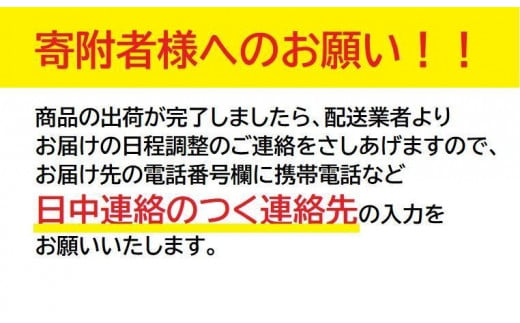 ヱビス自転車　子供自転車　エッセ20-H　マカロンブルー