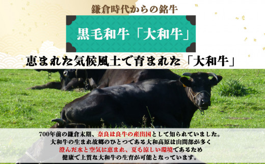 J02 奈良県産 大和牛 もも しゃぶしゃぶ用 650g【毎月数量限定】| お取り寄せ グルメ おうち時間 モモ肉 冷凍 贅沢 和食 祝肉 にく ニク お肉 おにく オニク 牛肉 モモ肉 シャブシャブ 奈良県 御杖村