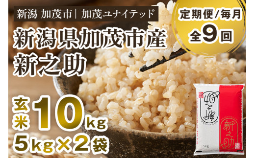 【令和6年産新米先行予約】【定期便9ヶ月毎月お届け】新潟県産 新之助 玄米10kg 《5kg×2袋》 新潟 ブランド米 加茂市 加茂ユナイテッド