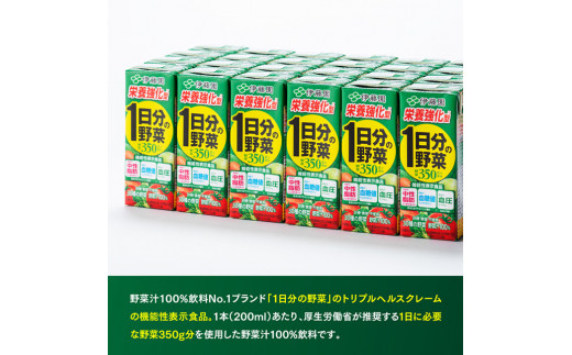 伊藤園 機能性1日分の野菜栄養強化型（紙パック）200ml×48本【6ヶ月定期便】 【 全6回 伊藤園 飲料類 野菜ジュース 野菜 ミックスジュース 飲みもの】