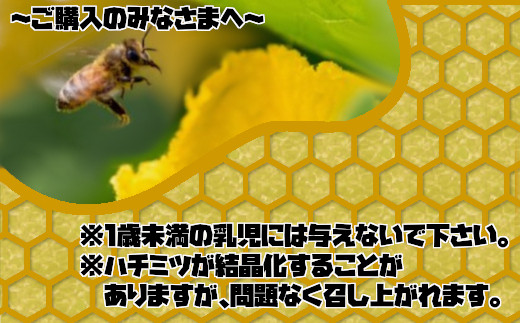 バラエティーハチミツ４点セット ふるさと納税 人気 おすすめ ランキング 国産 はちみつ ハチミツ 蜂蜜 4種 食べ比べ セット りんご トチ そば アカシア お試し 100g 4本 400g おいらせ 青森 青森県産 青森県 おいらせ町 送料無料 OIU104