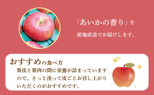 [5657-2680]信州りんご「あいかの香り」 約5kg (約11～20玉) 《市川ファーム》■2024年発送■※10月中旬頃～11月下旬頃まで順次発送予定