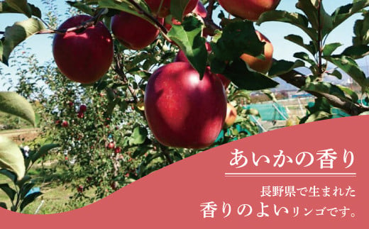 [5657-2680]信州りんご「あいかの香り」 約5kg (約11～20玉) 《市川ファーム》■2024年発送■※10月中旬頃～11月下旬頃まで順次発送予定