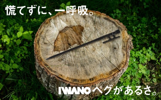 IWANOペグ8本セット