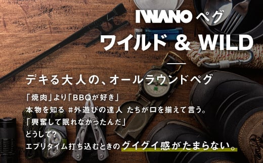 IWANOペグ8本セット