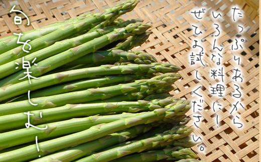 予約受付  アスパラガス 夏芽 M~Lサイズ 1kg（500g×2） 野菜  2024年6月～8月頃に順次発送  福岡県 福岡 九州 グルメ お取り寄せ