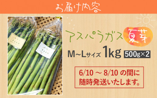 予約受付  アスパラガス 夏芽 M~Lサイズ 1kg（500g×2） 野菜  2024年6月～8月頃に順次発送  福岡県 福岡 九州 グルメ お取り寄せ