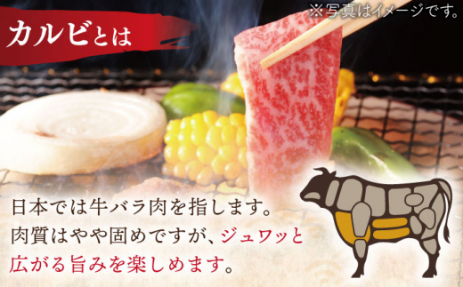 【全12回定期便】長崎和牛 カルビ 総計6.0kg （約500g/回）【ながさき西海農業協同組合】 [QAK037] 牛肉 カルビ 焼き肉 35万5千円 355000円