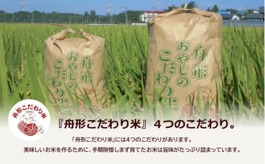 【無洗米】はえぬき10kg（5kg×2袋）　令和6年産米