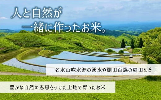 ＜令和6年産新米定期便3回＞やまぶき米(あきげしき)8kg