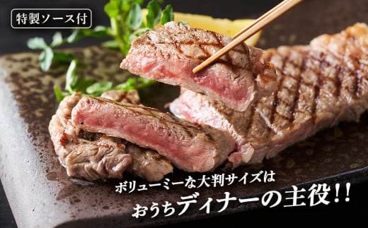 【定期便6カ月】 白老牛 サーロイン ステーキ 200ｇ×3枚 特製ソース付き 和牛 牛肉 ギフト 北海道 ＜徳寿＞