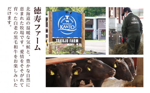 【定期便6カ月】 白老牛 サーロイン ステーキ 200ｇ×3枚 特製ソース付き 和牛 牛肉 ギフト 北海道 ＜徳寿＞