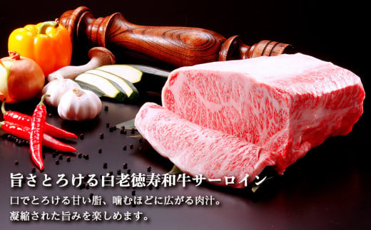 【定期便6カ月】 白老牛 サーロイン ステーキ 200ｇ×3枚 特製ソース付き 和牛 牛肉 ギフト 北海道 ＜徳寿＞