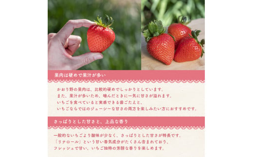 天使のいちご エンジェルエイト & かおり野 & あまおとめ 紅 白いちご 約1000g セット | フルーツ 果物 くだもの 苺 いちご イチゴ 白苺 熊本県 玉名市