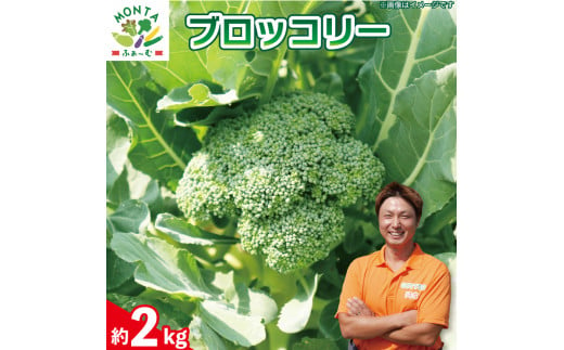 ブロッコリー 約2kg 野菜 やさい 国産 朝採れ 新鮮 旬 季節野菜 産地直送 鮮度抜群 サラダ スープ 味噌汁 鍋 シチュー カレー 和食 洋食 中華 栄養 ビタミン 美容 健康 冷蔵 お取り寄せ グルメ 送料無料 徳島県 阿波市 MONTAふぁ～む 