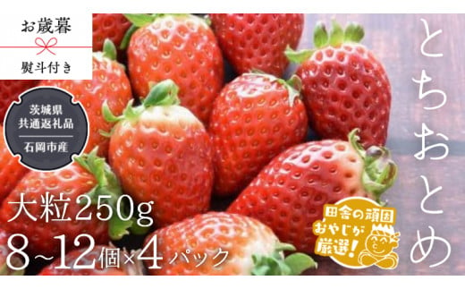 【 お歳暮 熨斗付 】 とちおとめ 〈いちご〉 大粒 250g（8～12粒）×4パック【令和6年12月から発送開始】（県内共通返礼品：石岡市産） いちご 苺 イチゴ とちおとめ