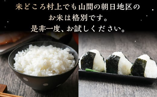 【新米受付・令和6年産米】【定期便：6ヶ月連続でお届け】 村上市産 新之助 72kg （12kg×6ヶ月）コース