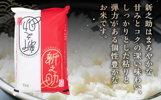 【新米受付・令和6年産米】【定期便：6ヶ月連続でお届け】 村上市産 新之助 72kg （12kg×6ヶ月）コース