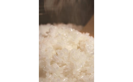 墨：伊賀焼 炊飯 土鍋 かまどさんプレミアム 二合炊き 墨 グッドデザイン賞受賞「公式限定」