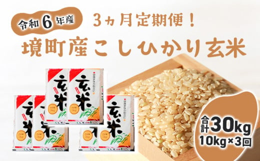 S255 【3ヶ月定期便】令和6年産 茨城県 境町 こだわり「こしひかり」 玄米10kg(5kg×2袋)×3ヵ月（合計30kg）