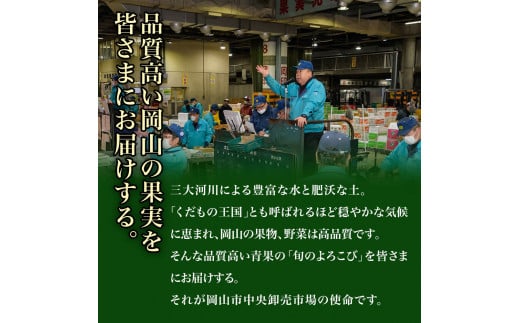 詰合 白桃 2玉 （1玉220g以上） シャインマスカット晴王 2房 （1房480g以上） 化粧箱入り