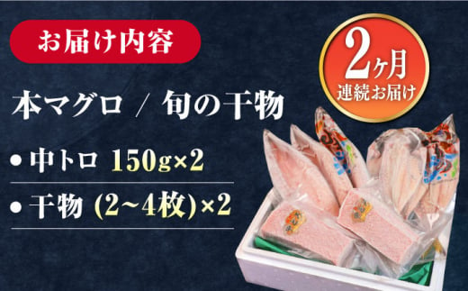 【全2回定期便】対馬産 本マグロ 中トロ300g ＆干物《対馬市》【対海】 新鮮 マグロ 鮪 本鮪 トロ 海鮮 冷凍 浜干し [WAH031]