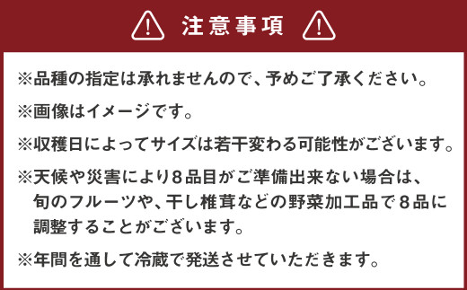 野菜ソムリエ厳選 おまかせ お野菜 8品 セット 新鮮