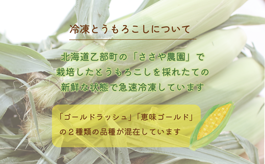 ＜ささや農園産　極★凍結　とうもろこし　12本＞北海道 道産 国産 乙部町 とうもろこし とうきび 冷凍 急速冷凍 鮮度そのまま 甘さ 糖度 個包装 ゴールドラッシュ 恵味ゴールド