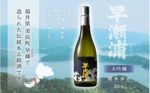 【早瀬浦】大吟醸 720ml × 1本【入手困難 日本酒 地酒 福井 美浜 早瀬 フルーティ 男酒 硬水 ミネラル 希少 ご褒美 家飲み 就職祝い 転職祝い ハレの日】 [m16-a023]