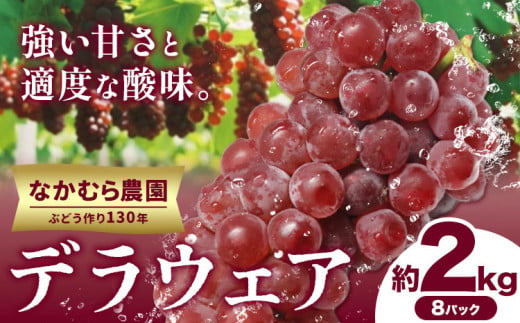 デラウェア【2025年先行予約】デラウェア 選べる 約2kg(8パック) 有限会社なかむら農園《2025年6月上旬-7月下旬頃出荷》大阪府 羽曳野市 ぶどう ブドウ 葡萄 送料無料