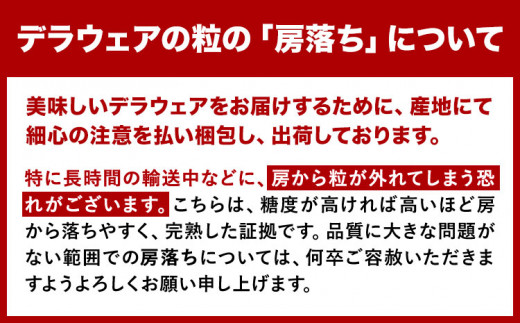 デラウェア【2025年先行予約】デラウェア 選べる 約2kg(8パック) 有限会社なかむら農園《2025年6月上旬-7月下旬頃出荷》大阪府 羽曳野市 ぶどう ブドウ 葡萄 送料無料