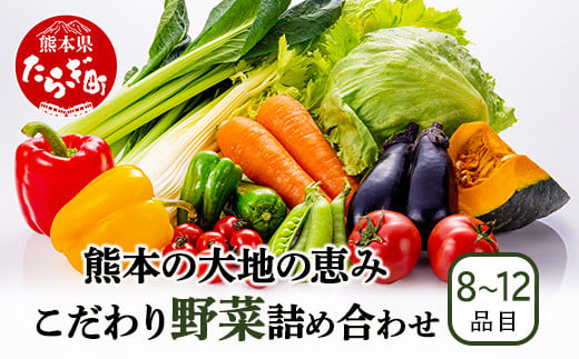 熊本の大地の恵み 旬の こだわり野菜詰め合わせセット 8〜12品 