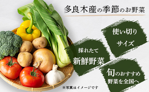 熊本の大地の恵み 旬の こだわり野菜詰め合わせセット 8〜12品 