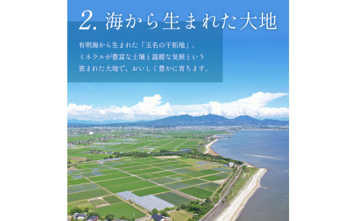 【 定期便 4回 】 ミニトマト 生産量 日本一 玉名市 !! カラフル ミニトマト 約 2kg （ ミックス ） サザキ農園    | 野菜 トマト ミニトマト 熊本県 玉名市 定期便