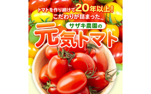 【 定期便 4回 】 ミニトマト 生産量 日本一 玉名市 !! カラフル ミニトマト 約 2kg （ ミックス ） サザキ農園    | 野菜 トマト ミニトマト 熊本県 玉名市 定期便