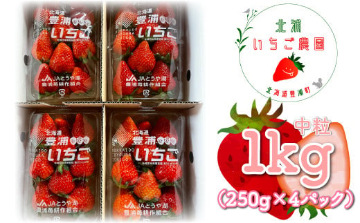 【北海道内限定配送】いちご「けんたろう」 中粒 250g×4パック 【ふるさと納税 人気 おすすめ ランキング 果物 いちごイチゴ 苺 国産いちご 国産苺 けんたろう セット おいしい 美味しい 甘い 北海道 豊浦町 送料無料】 TYUAC003