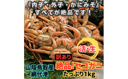 【訳あり】活！絶品セコガニ1kgセット 鳥取網代港 岩美 松葉がに ズワイガニ かに カニ 日本海 せこがに せいこがに 親がに【さかなや新鮮組】【22032】