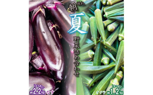 野菜 なす 2kg オクラ 1kg セット 《 先行予約 5月下旬～発送開始》 千両なす オクラ  夏野菜 阿波市産 徳島県