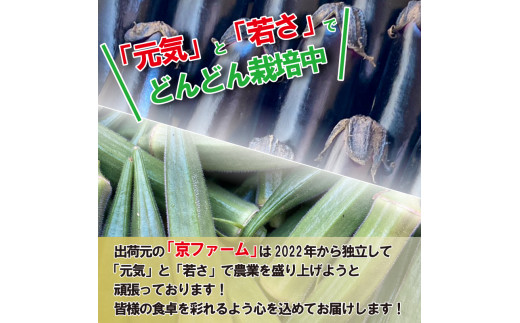 野菜 なす 2kg オクラ 1kg セット 《 先行予約 5月下旬～発送開始》 千両なす オクラ  夏野菜 阿波市産 徳島県