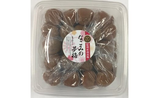 紀州南高梅なごみの夢梅　A-093