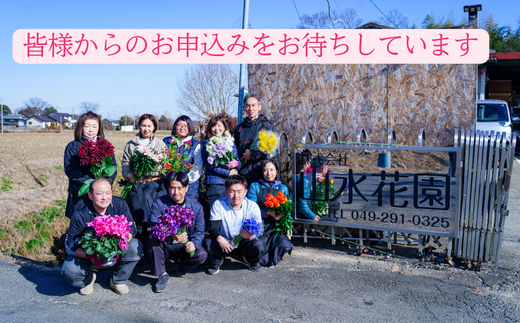 【ご要望にお応え】季節の生花 花束 3,000円相当 高さ約60㎝ 幅約30㎝ ギフト 贈り物 プレゼント 花束 誕生日 母の日 父の日 敬老の日 記念日 アレンジ