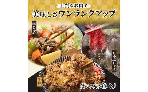 飛騨牛 牛肉 切り落とし 500g×2 計1kg 和牛